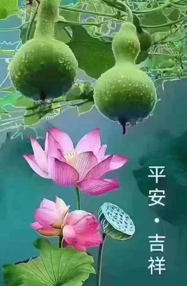 游覽街與放射路交叉口東南角出租
