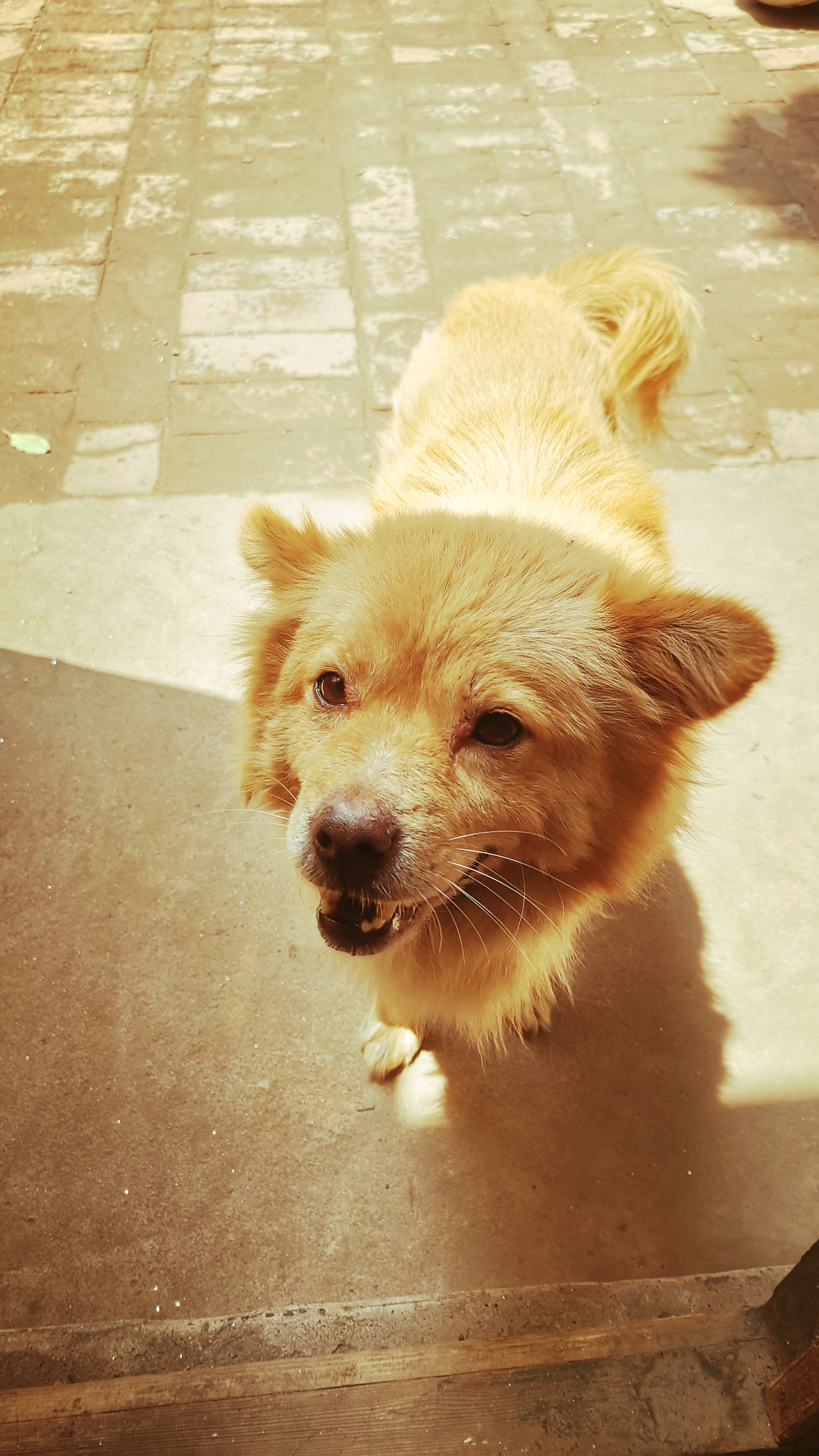 λڶf|h(hun)·Їͱ100ĺԺw