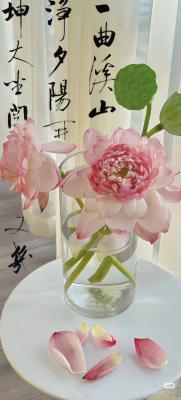 Rr(sh)o(h)24Сr(sh)o(h)9죬һ15020qк䰲